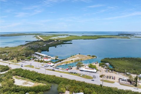 Propiedad comercial en venta en Sugarloaf Key, Florida № 2032655 - foto 5