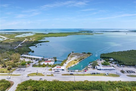 Propiedad comercial en venta en Sugarloaf Key, Florida № 2032655 - foto 7