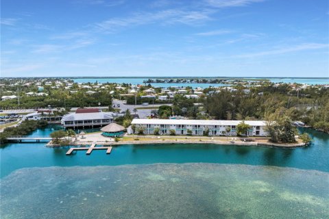 Propiedad comercial en venta en Sugarloaf Key, Florida № 2032655 - foto 11