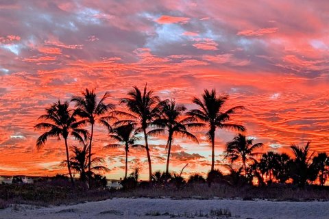 Copropriété à vendre à Palm Beach, Floride: 2 chambres, 113.25 m2 № 2384974 - photo 29