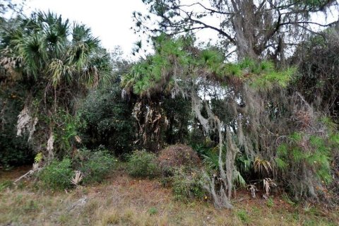 Land in North Port, Florida № 2164876 - photo 2