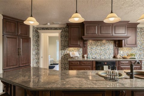Villa ou maison à vendre à Lakeland, Floride: 4 chambres, 385.27 m2 № 2431035 - photo 16