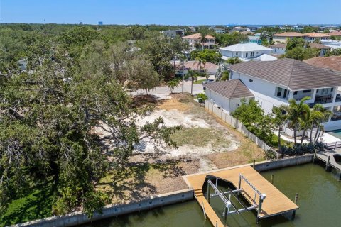Terreno en venta en Tampa, Florida № 1750169 - foto 1