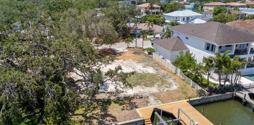 Land in Tampa, Florida № 1750169