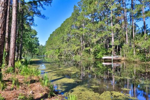 House in Palm Coast, Florida 3 bedrooms, 208.57 sq.m. № 1851544 - photo 1