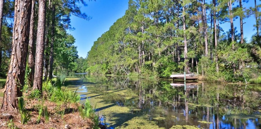 House in Palm Coast, Florida 3 bedrooms, 208.57 sq.m. № 1851544
