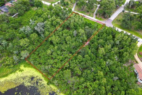 Land in Riverview, Florida № 2116947