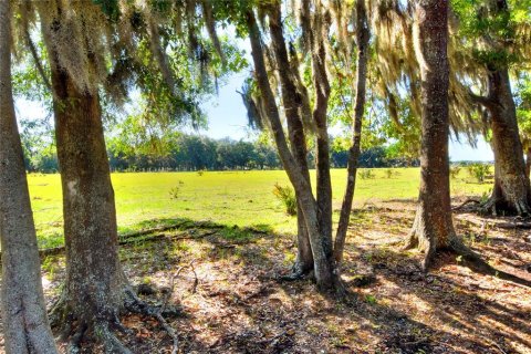 Terreno en venta en Fish Hawk, Florida № 2101674 - foto 6