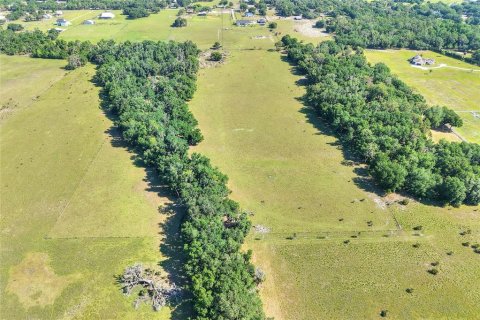 Terreno en venta en Fish Hawk, Florida № 2101674 - foto 12
