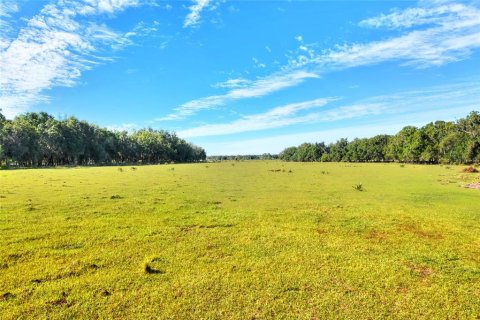 Terreno en venta en Fish Hawk, Florida № 2101674 - foto 2