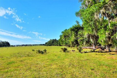 Terreno en venta en Fish Hawk, Florida № 2101674 - foto 3