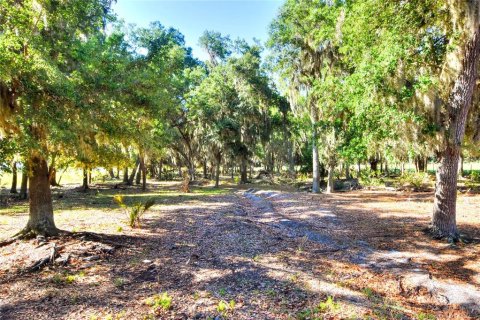Terreno en venta en Fish Hawk, Florida № 2101674 - foto 10