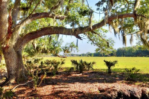 Terreno en venta en Fish Hawk, Florida № 2101674 - foto 5