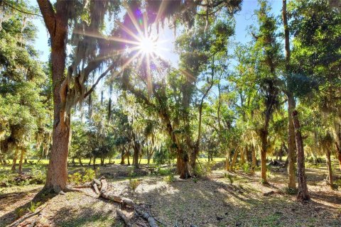 Terreno en venta en Fish Hawk, Florida № 2101674 - foto 9
