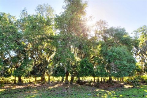Terreno en venta en Fish Hawk, Florida № 2101674 - foto 4