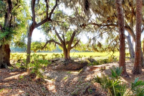 Terreno en venta en Fish Hawk, Florida № 2101674 - foto 7