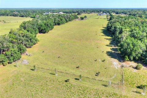 Terreno en venta en Fish Hawk, Florida № 2101674 - foto 14