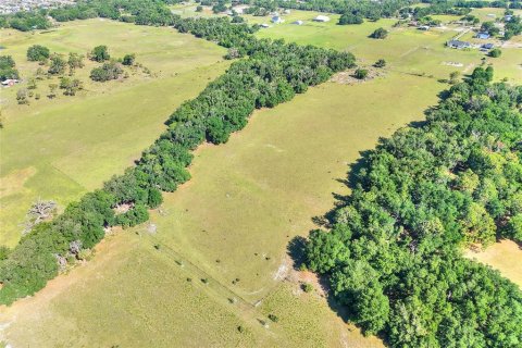 Terreno en venta en Fish Hawk, Florida № 2101674 - foto 13