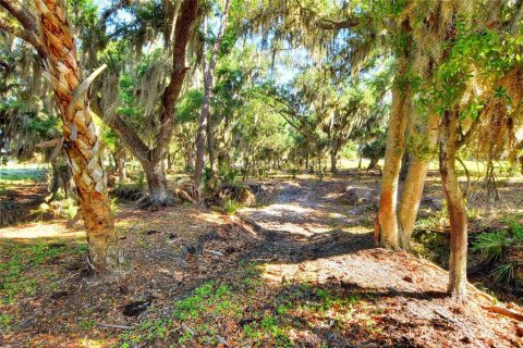 Terreno en venta en Fish Hawk, Florida № 2101674 - foto 8