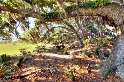 Terreno en venta en Fish Hawk, Florida № 2101674 - foto 11