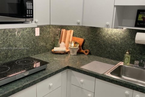 Снять в аренду коммерческую недвижимость в Майами, Флорида 1 спальня, 188.59м2, № 1940996 - фото 21