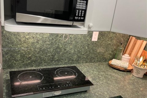Снять в аренду коммерческую недвижимость в Майами, Флорида 1 спальня, 188.59м2, № 1940996 - фото 19