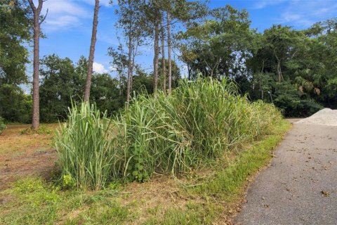 Land in Lutz, Florida № 2380531 - photo 8