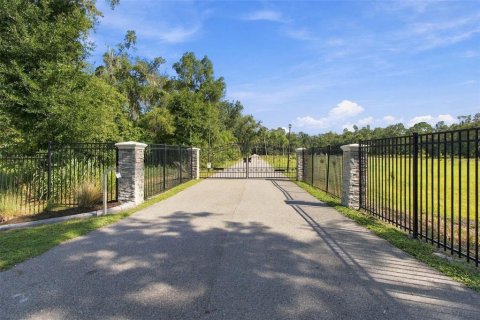 Land in Lutz, Florida № 2380531 - photo 2