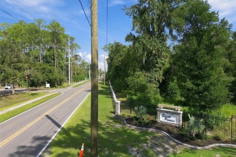 Land in Lutz, Florida № 2380531 - photo 22