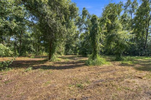 Land in Lutz, Florida № 2380531 - photo 15