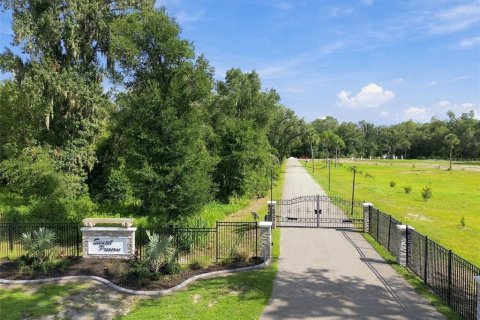 Land in Lutz, Florida № 2380531 - photo 21