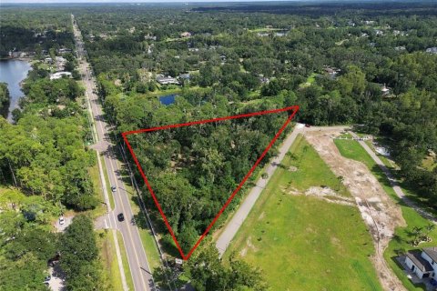 Land in Lutz, Florida № 2380531 - photo 4