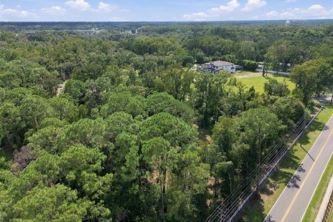 Land in Lutz, Florida № 2380531 - photo 26