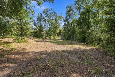 Land in Lutz, Florida № 2380531 - photo 17