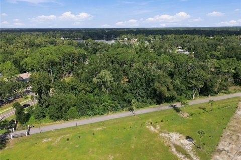 Land in Lutz, Florida № 2380531 - photo 28
