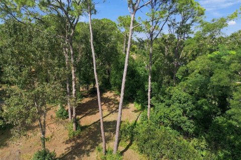Land in Lutz, Florida № 2380531 - photo 24