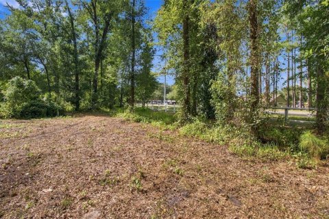 Land in Lutz, Florida № 2380531 - photo 13