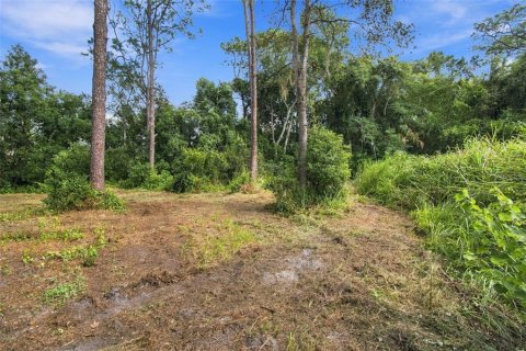 Land in Lutz, Florida № 2380531 - photo 9