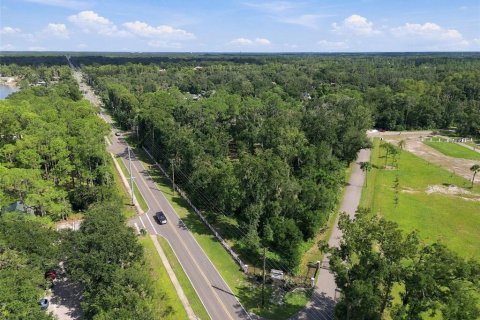 Land in Lutz, Florida № 2380531 - photo 27