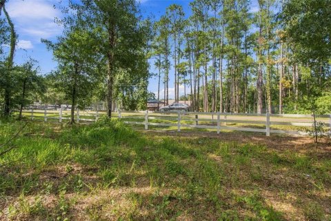 Land in Lutz, Florida № 2380531 - photo 14