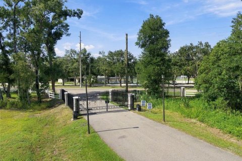 Land in Lutz, Florida № 2380531 - photo 18