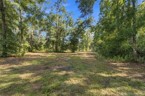 Land in Lutz, Florida № 2380531 - photo 16