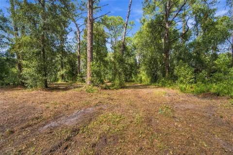 Land in Lutz, Florida № 2380531 - photo 11