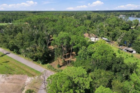 Land in Lutz, Florida № 2380531 - photo 25