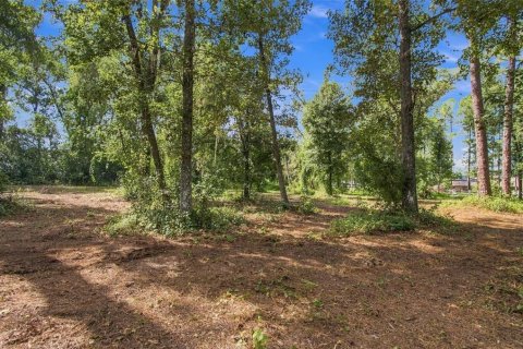 Land in Lutz, Florida № 2380531 - photo 12