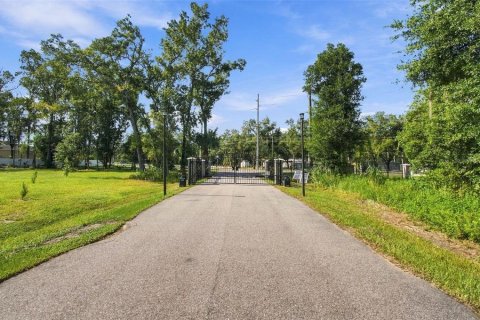 Land in Lutz, Florida № 2380531 - photo 3