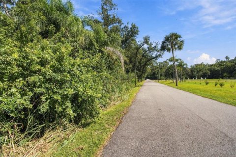 Land in Lutz, Florida № 2380531 - photo 6