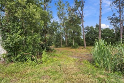 Land in Lutz, Florida № 2380531 - photo 5