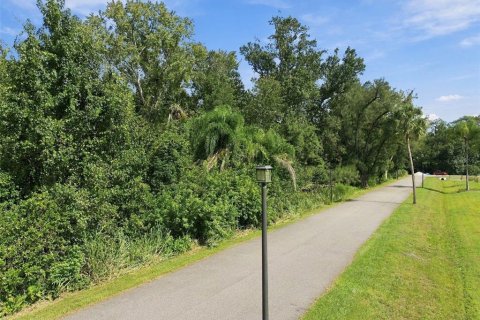 Land in Lutz, Florida № 2380531 - photo 19