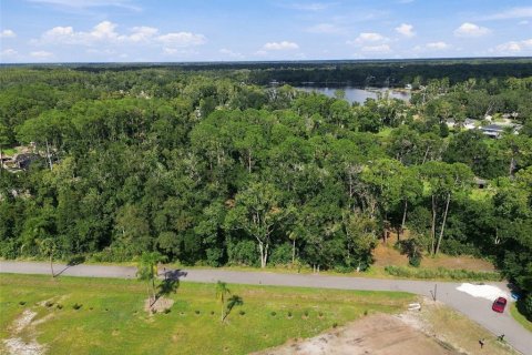 Land in Lutz, Florida № 2380531 - photo 29